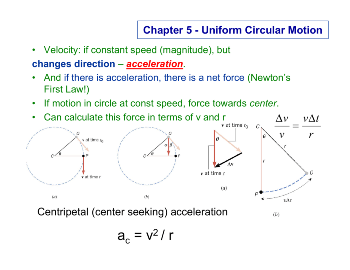 Gizmo uniform cf centripetal