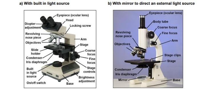 Microscope worksheet parts drawing quiz diagram labeling easy science microscopes blank compound light part grade worksheets school print microscopic worksheeto