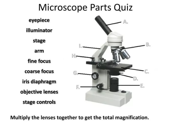 Microscope microscopy microscopes labeled biology microscop sinhala kirstine x80