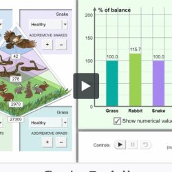 Rabbit population by season gizmo