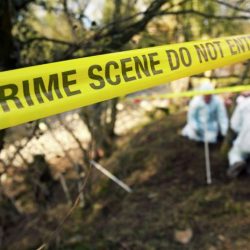 The 7s of crime scene investigation