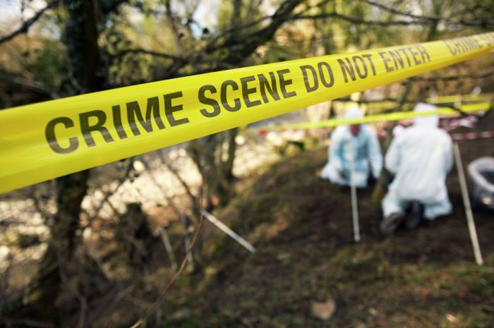 The 7s of crime scene investigation