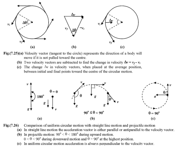 Student exploration uniform circular motion