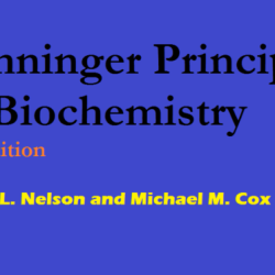 Principles of biochemistry 6th edition lehninger pdf