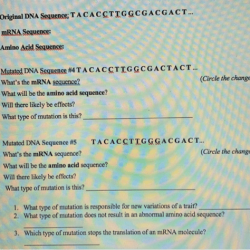 Mutations worksheet deletion insertion and substitution answer key